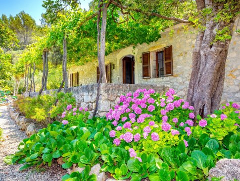 Finca Na Garrovera, Pollensa