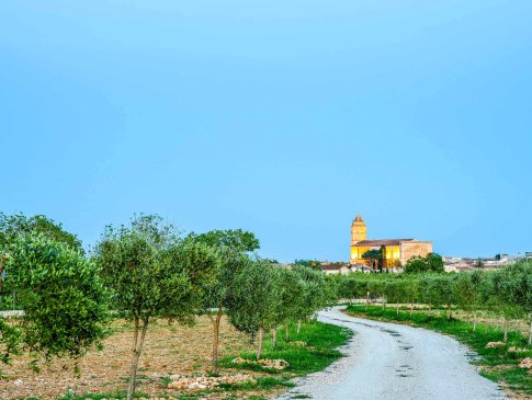 Blick auf die Kirche von Petra von der Finca Luz de Luna, Petra