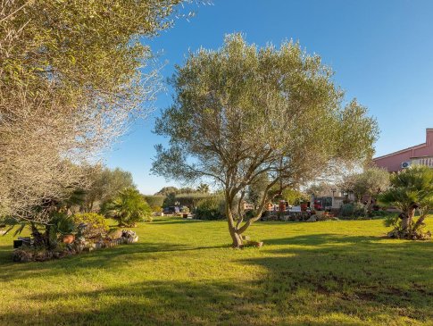 Garten der Finca Diver, Muro