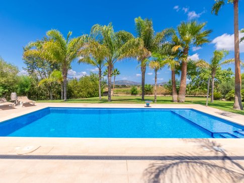 Poolterrasse mit Blick zum Pool und dem Garten mit Palmen, Finca Can Capo, Muro