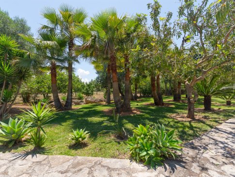 Garten mit Palmen, Finca Auba Gran, Muro
