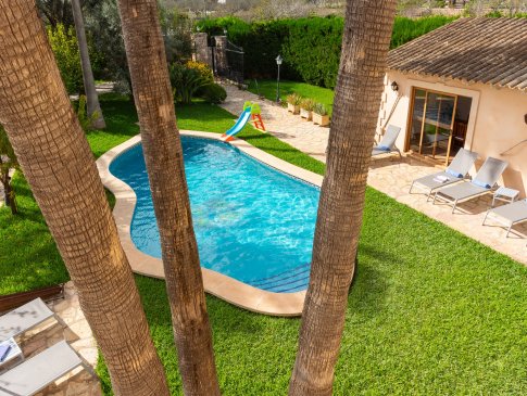 Hohe Palmen am Pool, Finca Vernissa, Can Picafort
