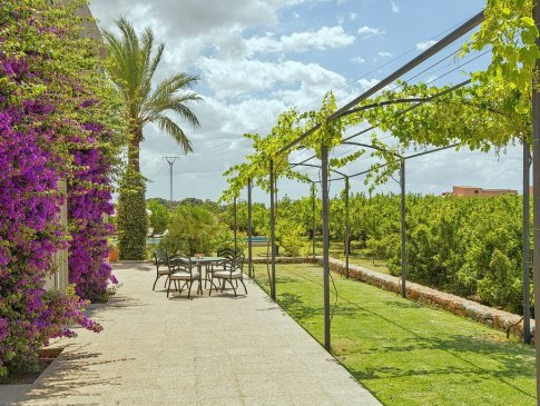 Seitenterrasse am Wohnzimmer, Finca Son Puca, Buger