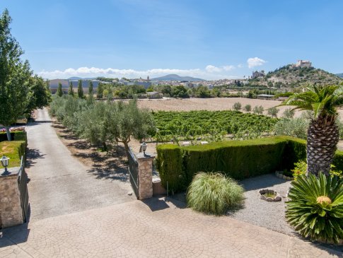 Zufahrt zum Anwesen, Finca Na Franca, Arta