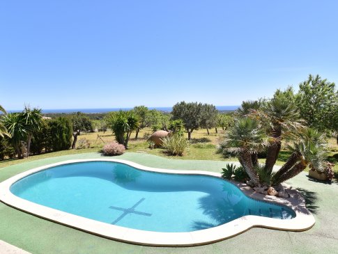 Pool mit Palmen und Bäumen umgeben, Finca Vall D'Or, SHorta