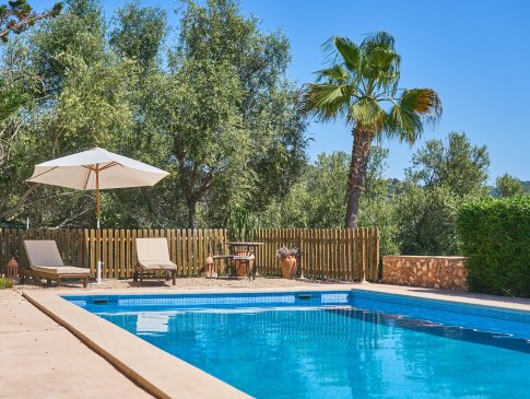 Bäume und Palmen am Poolbereich, Finca Redona, Alqueria Blanca